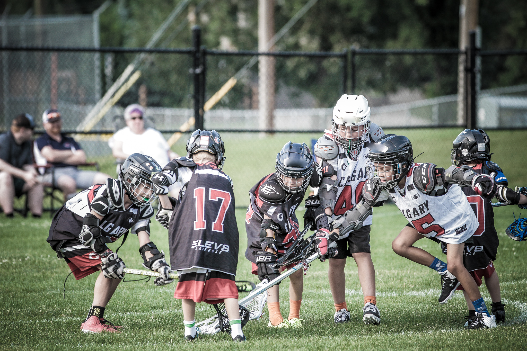 Calgary Field Lacrosse