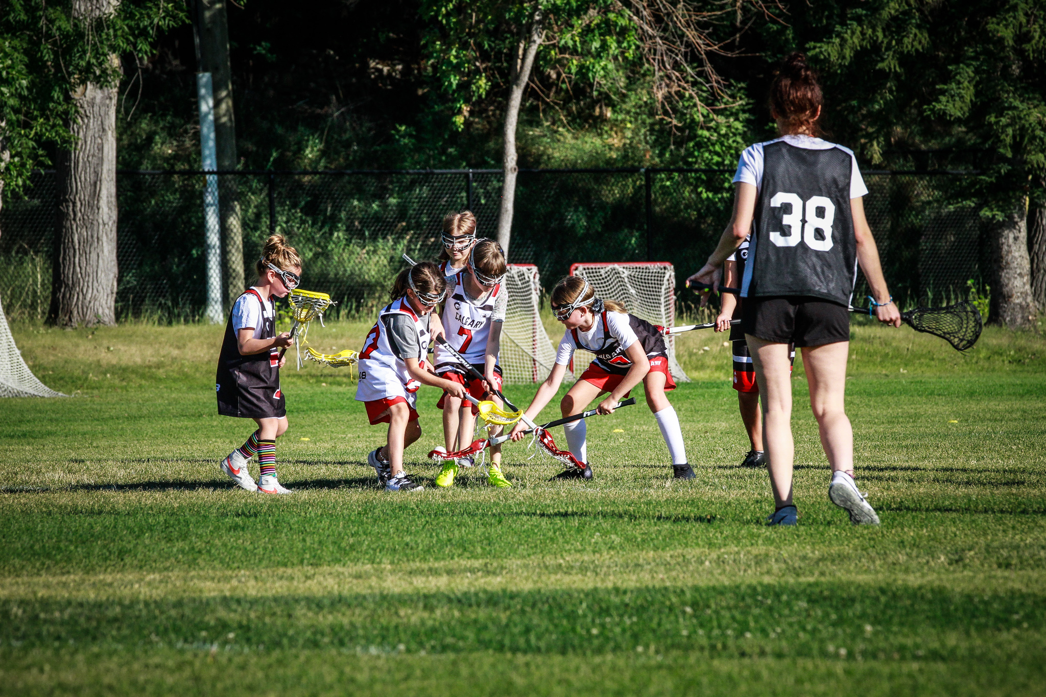 U13 Girls Calgary Field Lacrosse